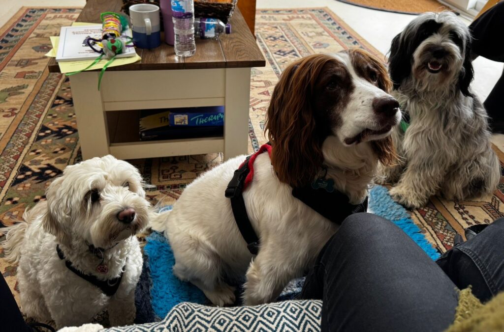 fa3cd2f6-31a1-4bbc-89d0-fd440061cd8c Carolyn & Cassie